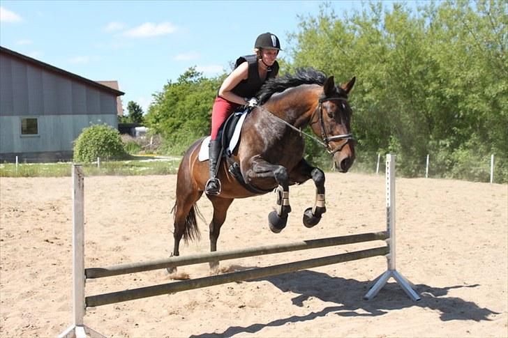 Anden særlig race Gillian (Solgt) - Springbillede.. Ved ikk lig hva der sker for mit ansigt....! billede 7