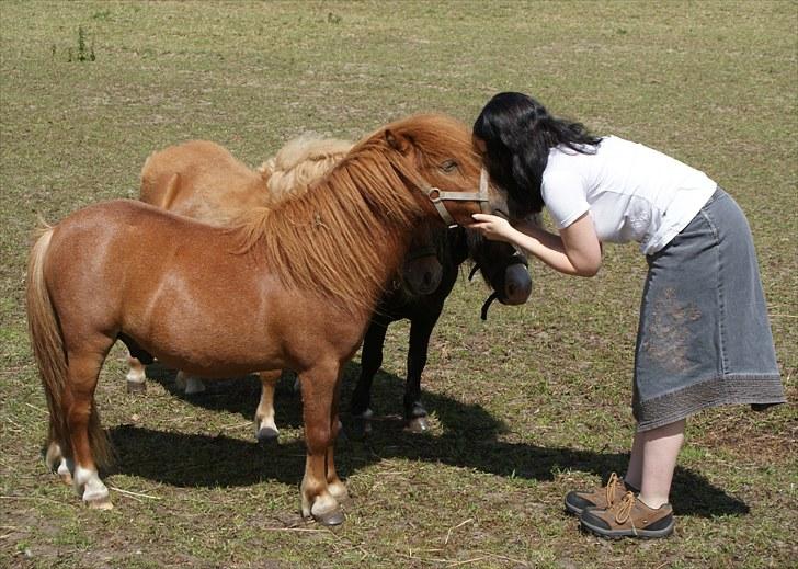 Anden særlig race Møllegårdens Kajser - Møøøzzz... Kajser er jordens største nussehoved! billede 11