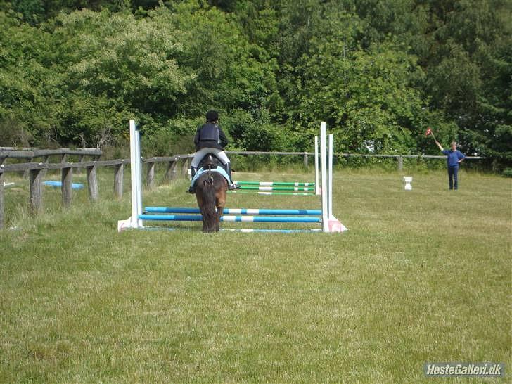 Anden særlig race » Tarzan.  - regionstævne på tarzan (:´     foto: Thalia (: <3 billede 2