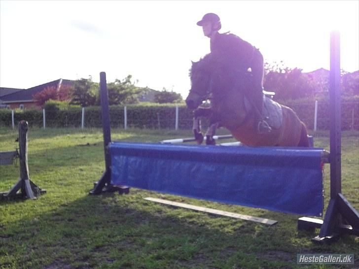 Anden særlig race » Tarzan.  - Mig og tarzan springtræning :D ca. 60 cm.   foto: søster billede 4