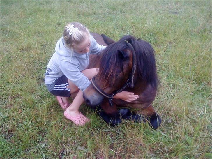 Anden særlig race » Tarzan.  - Tarzan og silver (:´ foto: Mig  billede 5