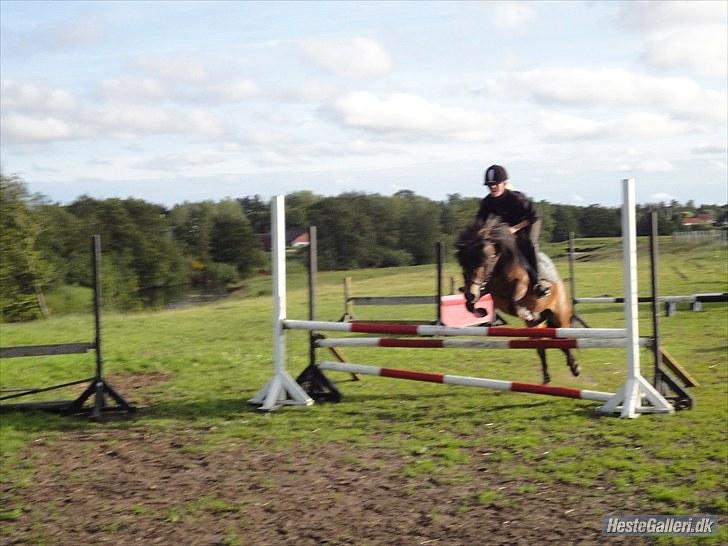 Anden særlig race » Tarzan.  - springtræning<3   foto: søs billede 10