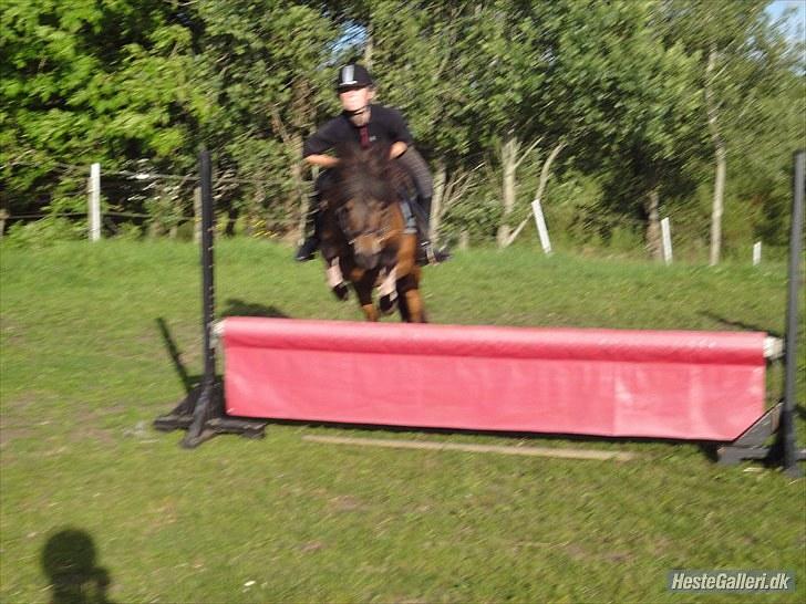 Anden særlig race » Tarzan.  billede 12