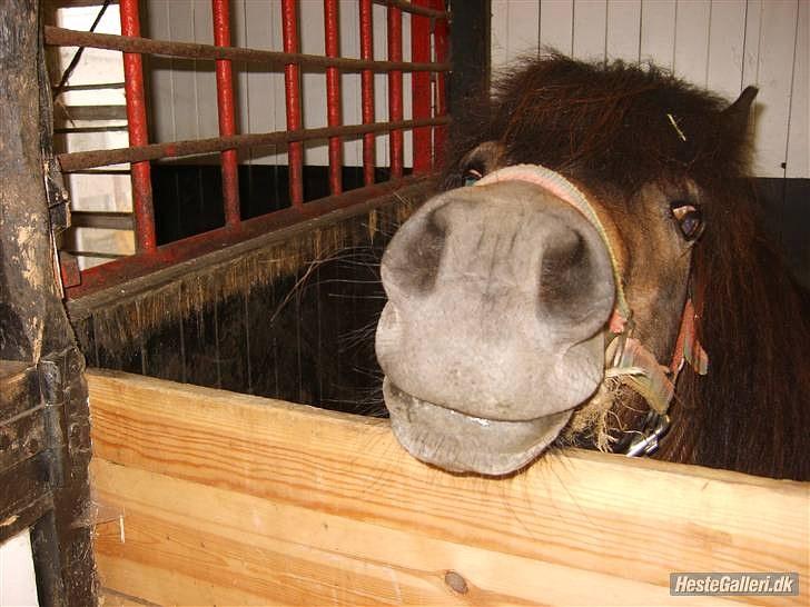 Anden særlig race » Tarzan.  - haha XD billede 16