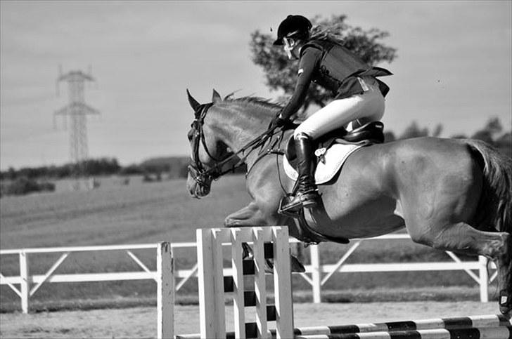 Holstener Clemento 2 - R.I.P :'( billede 19