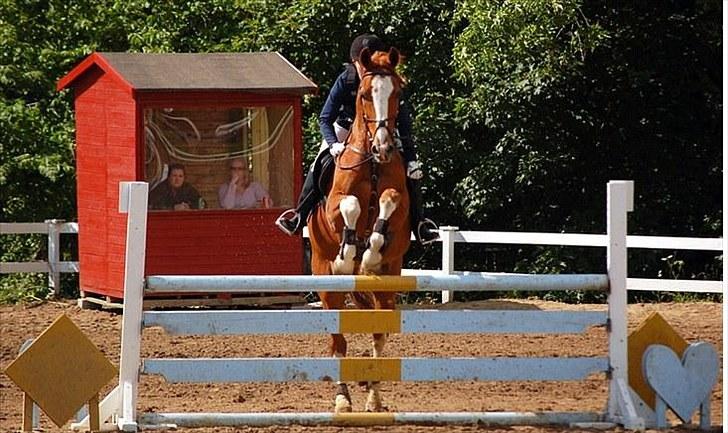 Zangersheide Gilbert Alfarvad Z *R.I.P* - Billede 1: Stævne i Vordingborg d. 20/6-10 - springer her LC (100 cm). Blev nr. 2 :) billede 10