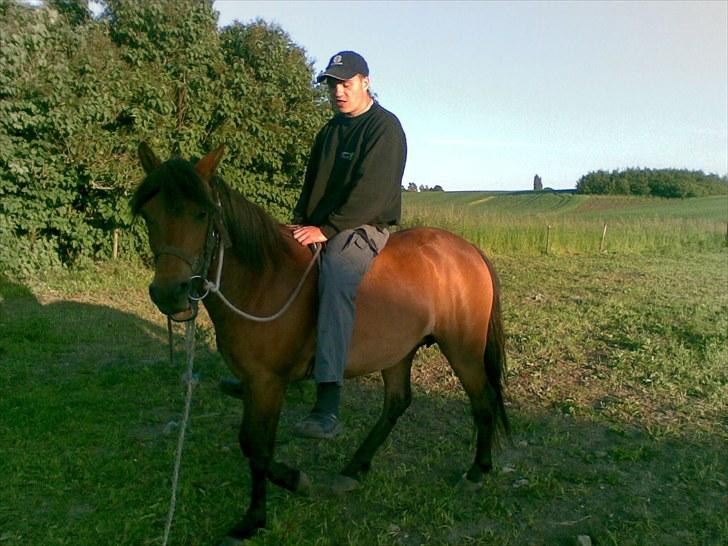 Anden særlig race Molly<3* tidligere  part  billede 6