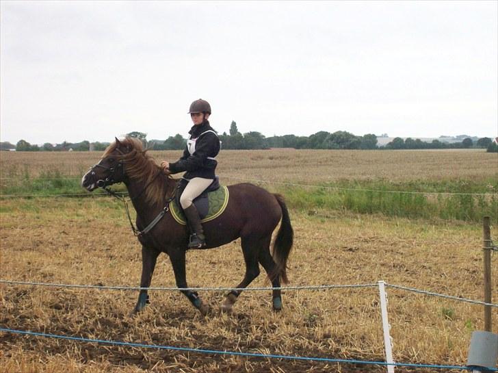 Anden særlig race Fuxie<3 (prinsessen)<3 billede 5