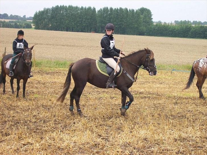 Anden særlig race Fuxie<3 (prinsessen)<3 billede 7