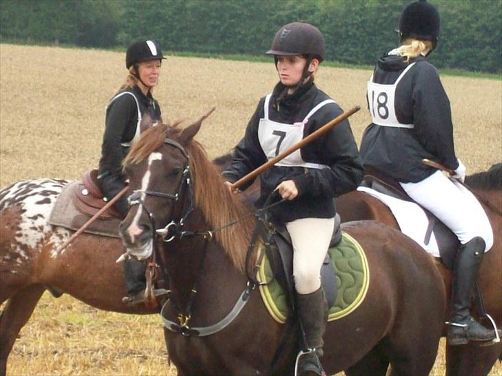 Anden særlig race Fuxie<3 (prinsessen)<3 billede 8