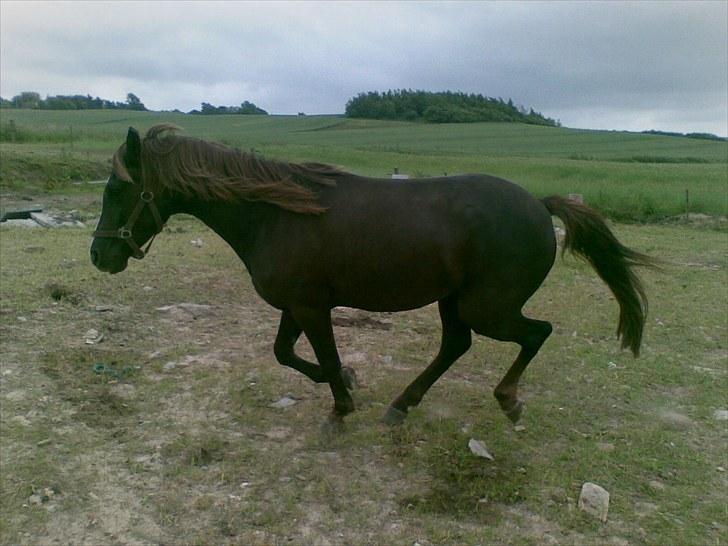 Anden særlig race Fuxie<3 (prinsessen)<3 billede 9