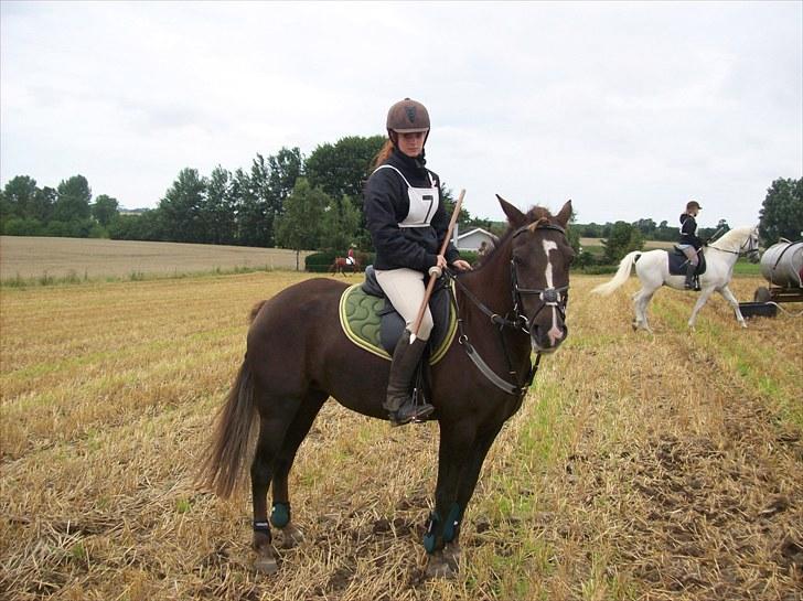 Anden særlig race Fuxie<3 (prinsessen)<3 billede 10