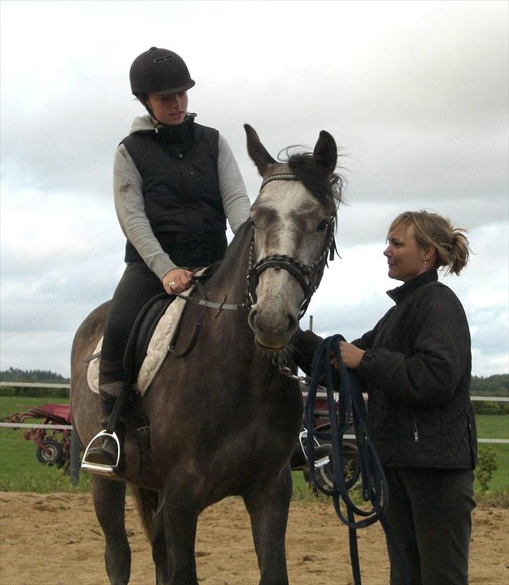 Anden særlig race Cara - SOLGT billede 16