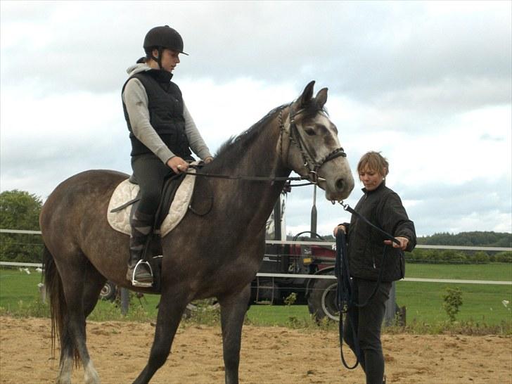 Anden særlig race Cara - SOLGT billede 17