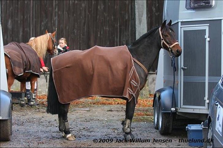 DSP Okay Charlie<3 SOLGT )':  - Hubertusjagt 18/10-09 ... ... Taget af Jack Willum, mange tak !! billede 10