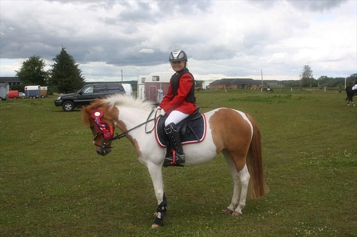 Anden særlig race MISS MERCERY - Spjald Og Omegns Rideklub billede 4