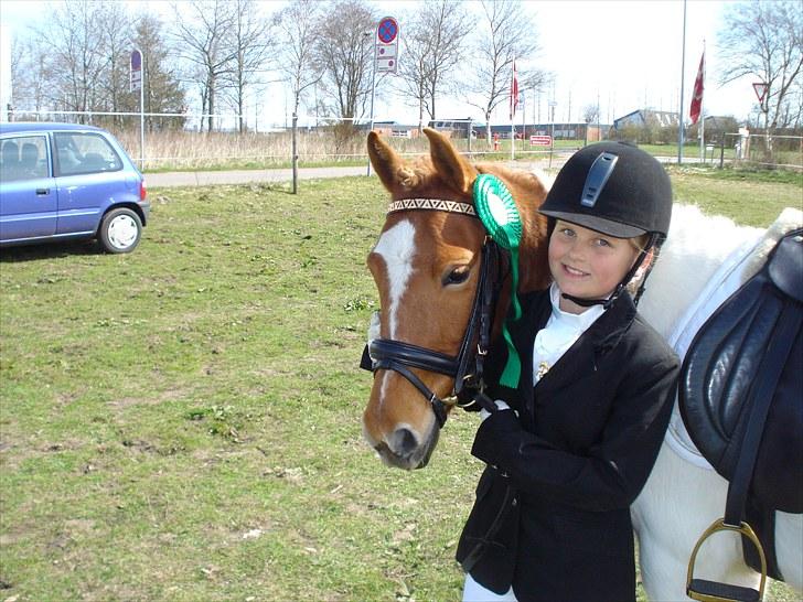 Anden særlig race MISS MERCERY - 4. plads LD1 billede 8