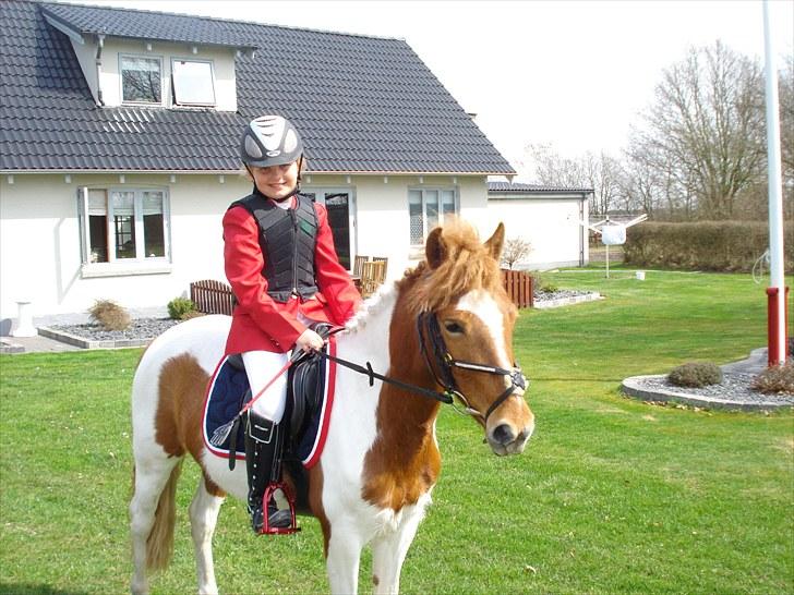 Anden særlig race MISS MERCERY - Derhjemme billede 9