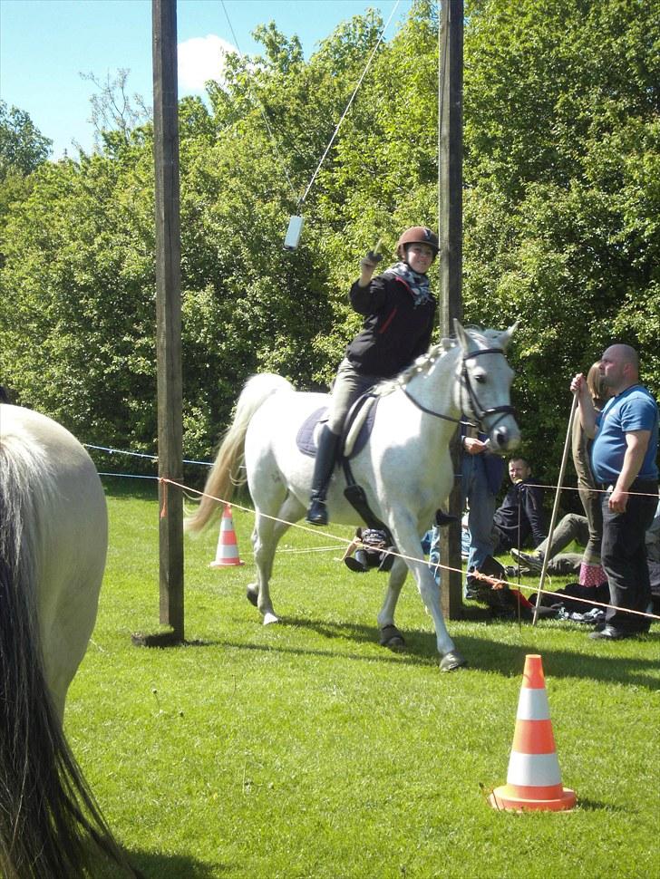 Shagya Araber (SH) # obalina^^*- - mig og oba til ringredning :D haha det var nice :D billede 20