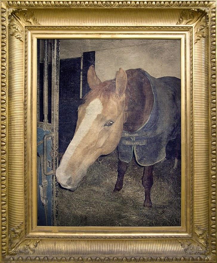 Dansk Varmblod Jack - jack i guld ramme:) billede 13