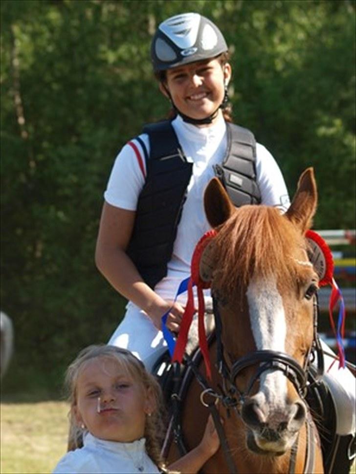 Hollandsk Sportspony NYMPHE - Brande Rideklub billede 1