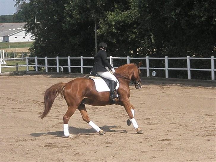 Oldenborg Tonedo!<3  *gl. part* - 10) Stævne d. 15 august 2010 på hjemmebane billede 10