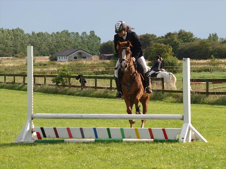 Hollandsk Sportspony NYMPHE - Klubmesterskab 2010 billede 7