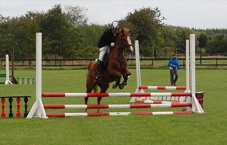 Hollandsk Sportspony NYMPHE - Klubmesterskab 2010 billede 8