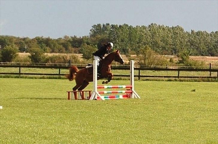 Hollandsk Sportspony NYMPHE - Klubmesterskab 2010 billede 9