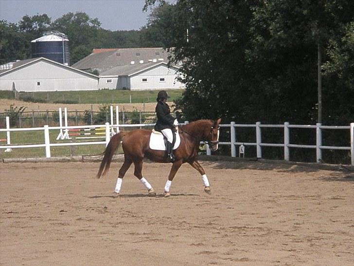 Oldenborg Tonedo!<3  *gl. part* - 15) Stævne d. 15 august 2010 på hjemmebane :D  billede 15