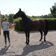 Anden særlig race Celia