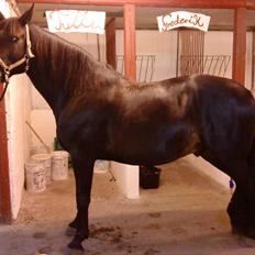 Oldenborg Larakas