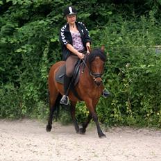 Anden særlig race Cassiopeia DEN SAVNEDE!<3