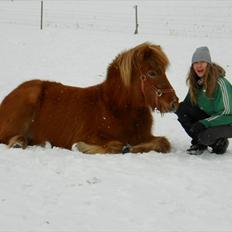 Islænder Hlín (kusines) -Flyttet-