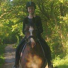 Anden særlig race Kasper (rider)