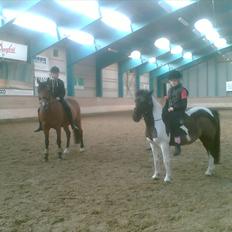 Anden særlig race Mille-en dejlig hoppe:-)