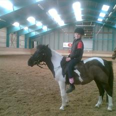 Anden særlig race Mille-en dejlig hoppe:-)