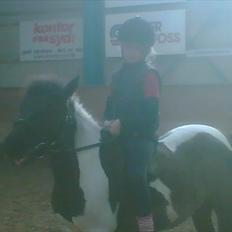 Anden særlig race Mille-en dejlig hoppe:-)