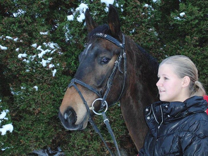 Anden særlig race Nalot - jule-hygge <3 - foto: mor billede 11