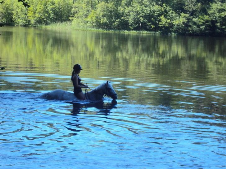 Anden særlig race victor - B pony † R.I.P † - svømmetur (: billede 11