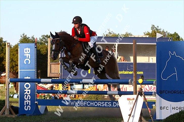 Anden særlig race Sakskærs comet II - A pony - <3 billede 12