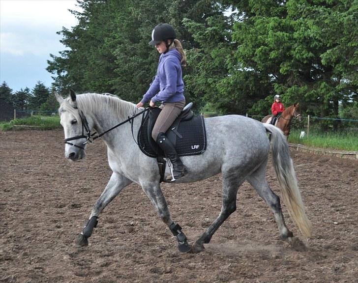 Anden særlig race day-light.. gammel part - © LKB © billede 4