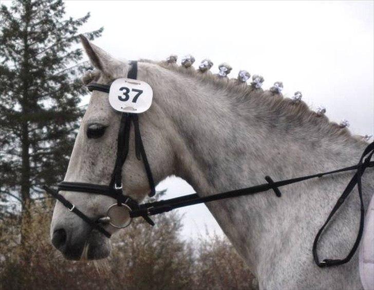 Anden særlig race day-light.. gammel part - © LKB © billede 5