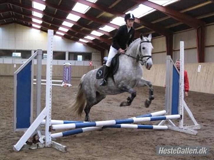 Anden særlig race day-light.. gammel part - © LKB © billede 7