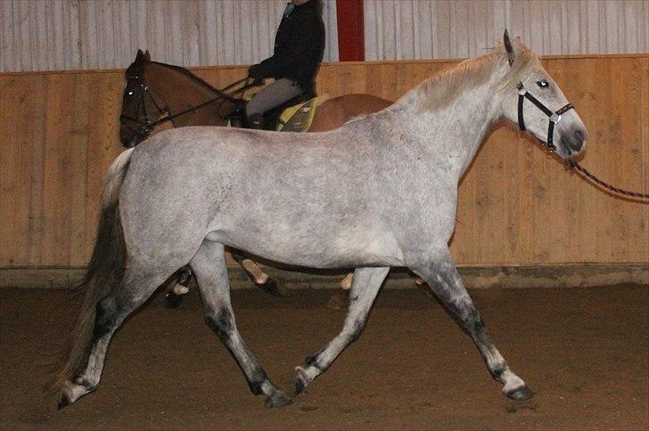 Anden særlig race day-light.. gammel part - © NB © billede 12