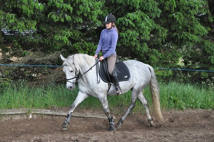 Anden særlig race day-light.. gammel part - © LKB © billede 16