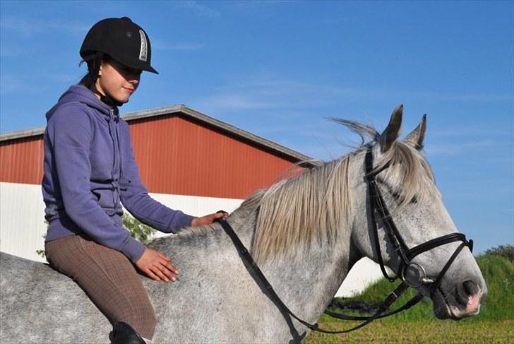 Anden særlig race day-light.. gammel part - © LKB © billede 1