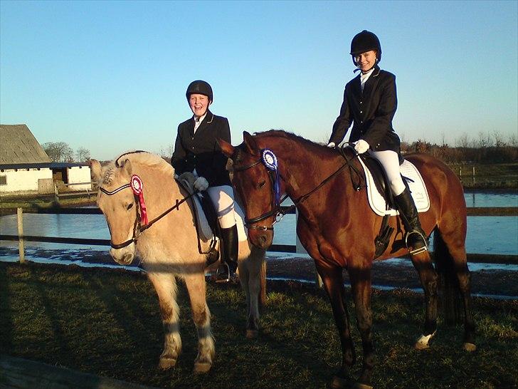 Dansk Varmblod Meldgårds Libell - Stævne på ANE januar 2011 :) LC1 - 2. plads. Fie og Per og mig og Libell! billede 15