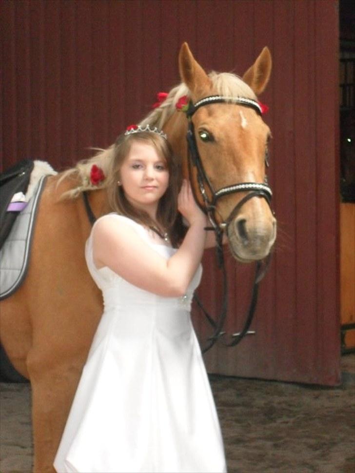 Cruzado Carbosa R.I.P miin elskede hest - mig og min solstråle billede 1