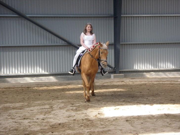 Cruzado Carbosa R.I.P miin elskede hest - ud at ride i hvid kjole billede 4